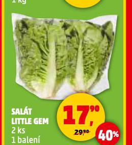 SALÁT LITTLE GEM