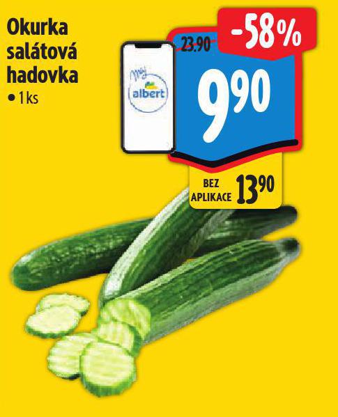 Okurka salátová hadovka