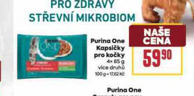 PURINA ONE KAPSIKY PRO KOKY