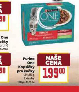 PURINA OEN KAPSIKY PRO KOKY
