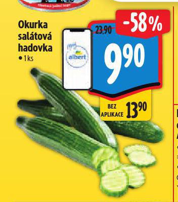 OKURKA SALÁTOVÁ HADOVKA