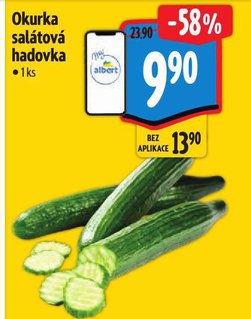 OKURKA SALÁTOVÁ HADOVKA
