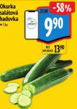 OKURKA SALÁTOVÁ HADOVKA