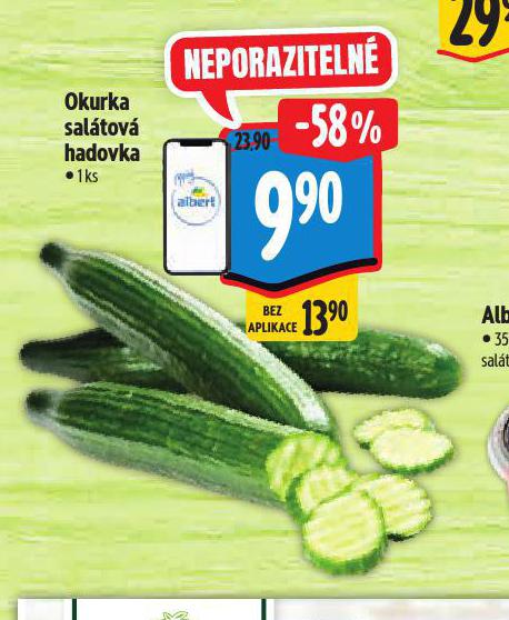 OKURKA SALÁTOVÁ HADOVKA