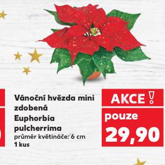 VNON HVZDA MINI ZDOBEN