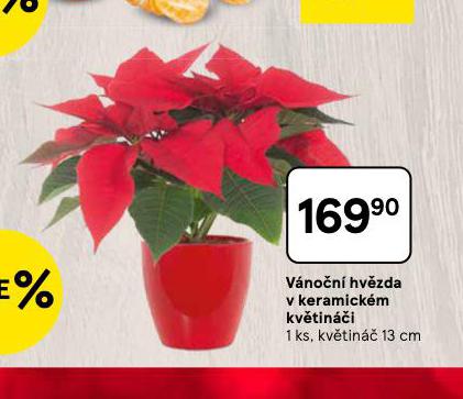 VNON HVZDA V KERAMICKM KVTINI