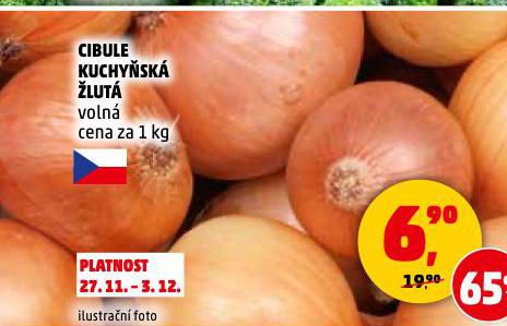 CIBULE KUCHYSK LUT