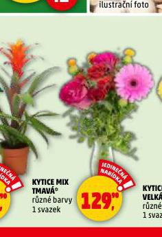KYTICE MIX TMAVÁ