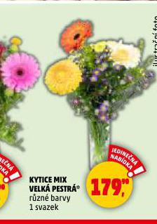 KYTICE MIX VELK PESTR