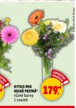 KYTICE MIX VELK PESTR
