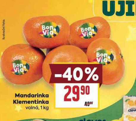 MANDARINKA KLEMENTINKA