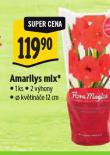 AMARILYS MIX