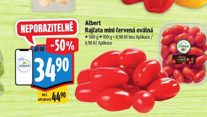 RAJATA MINI ERVEN OVLN