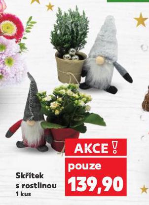 SKŘÍTEK S ROSTLINOU