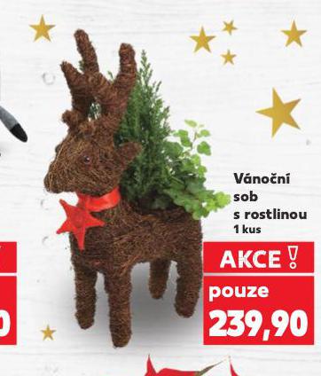 VÁNOČNÍ SOB S ROSTLINOU