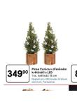 PICEA CONISA V DŘEVĚNÉM KVĚTINÁČI S LED