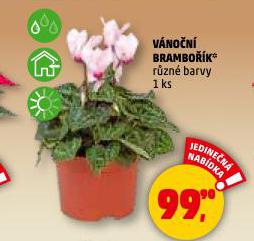 VÁNOČNÍ BRAMBOŘÍK