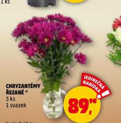 CHRYZANTÉMY ŘEZANÉ
