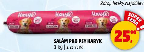 HARYK SALÁM PRO PSY
