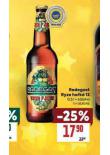 PIVO RADEGAST RYZE HOK 12
