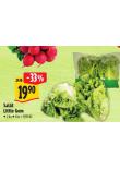 SALÁT LITTLE GEM