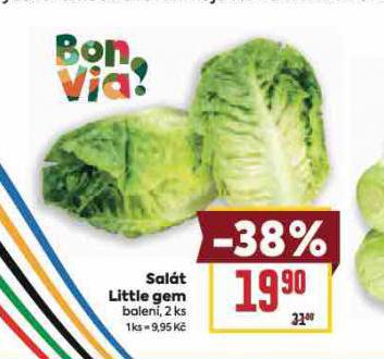 SALÁT LITTLE GEM
