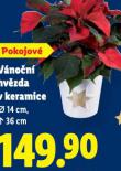 VÁNOČNÍ HVĚZDA V KERAMICE