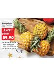 ANANAS BABY