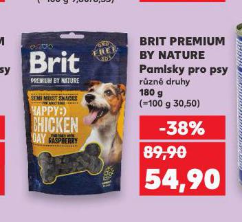 BRIT PREMIUM BY NATURE PAMLSKY PRO PSY