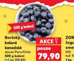 BORŮVKY BALENÉ KANADSKÉ