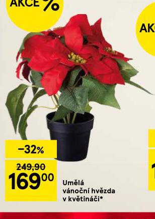 UMELÁ VÁNOČNÍ HVĚZDA V KVĚTINÁČI
