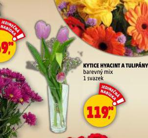 KYTICE HYACINT A TULIPÁNY