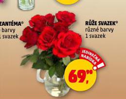 RŮŽE SVAZEK