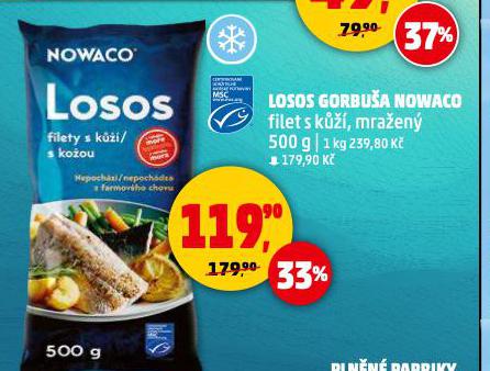 LOSOS GORBUŠA NOWACO