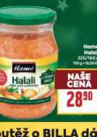 HAMÉ HALALI