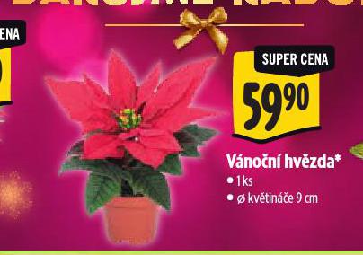 VÁNOČNÍ HVĚZDA