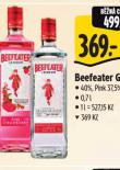 BEEFEATER GIN