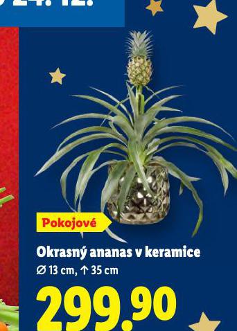 OKRASN ANANAS V KERAMICE