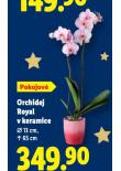 ORCHIDEJ