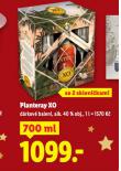 PLANTERAY XO