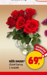 RŮŽE SVAZEK