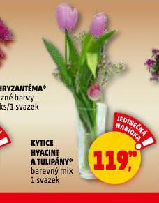 KYTICE HYACINT A TULIPÁNY