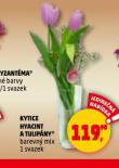 KYTICE HYACINT A TULIPÁNY