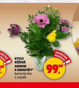 KYTICE RŮŽOVÁ GERMINI A KARAFIÁTY