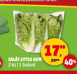 SALÁT LITTLE GEM