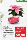 VNON HVZDA MINI V KERAMICKM KVTINI BOTA