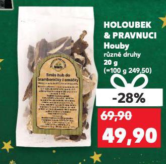 HOLOUBEK & PRAVNUCI HOUBY