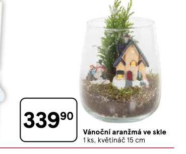 VÁNOČNÍ ARANŽMÁ VE SKLE