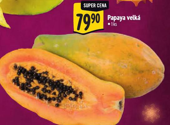 PAPAYA VELKÁ