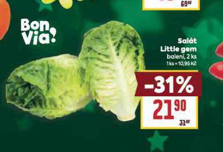 SALÁT LITTLE GEM